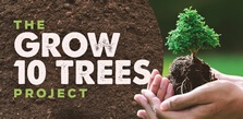 Grow 10 Trees Project"